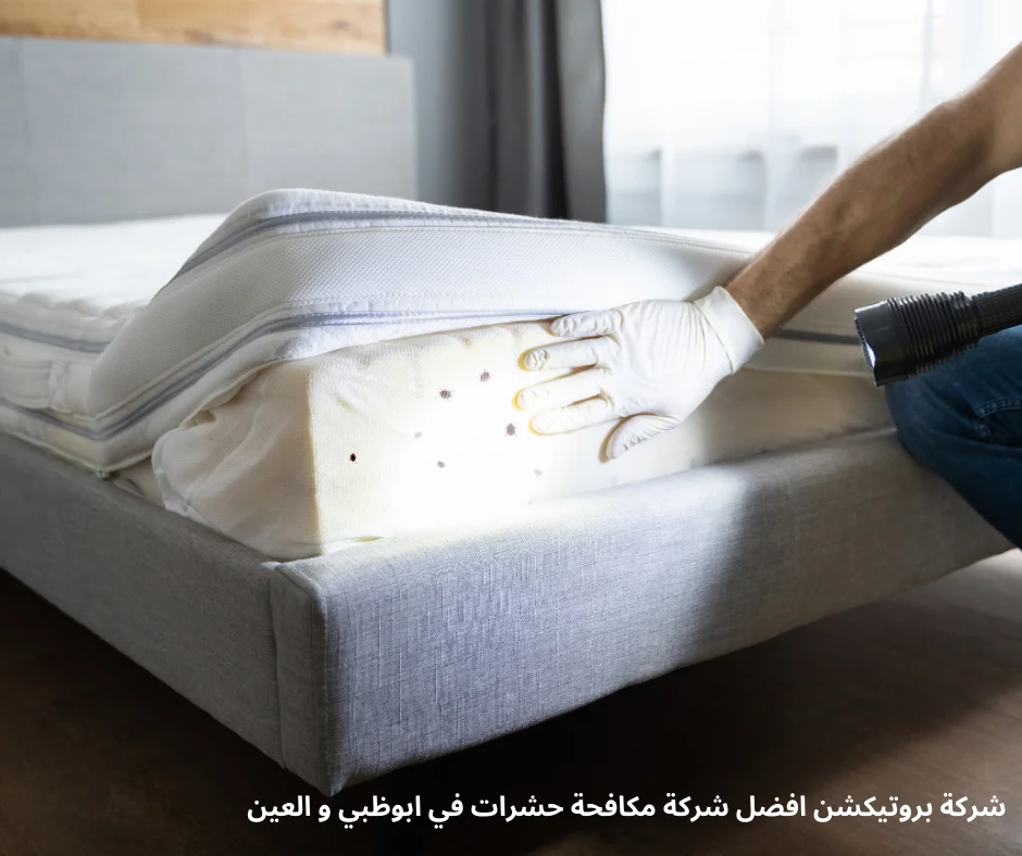 مكافحة بق الفراش مكافحة بق الفراش