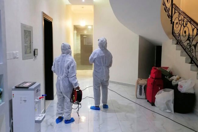 شركة مكافحة الصراصير في أبوظبي