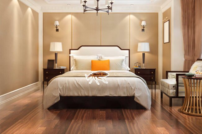 مكافحة بق الفراش في أبوظبي