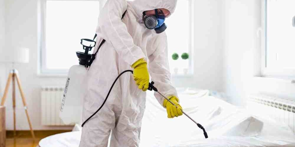 شركة مكافحة آفات النسيج في ابوظبي