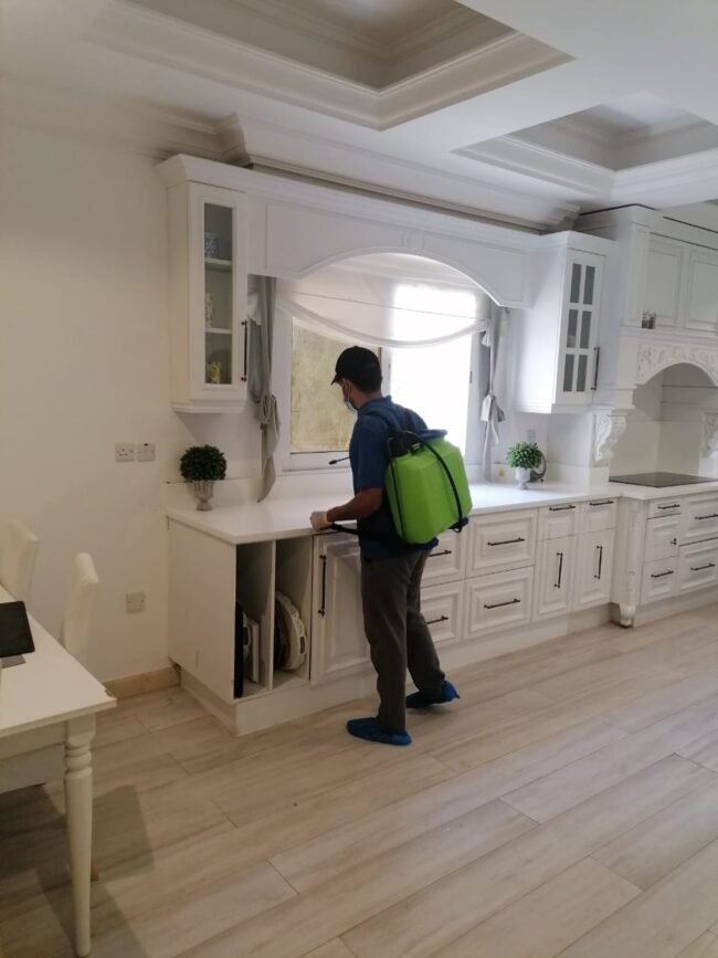 أفضل شركة مكافحة الحشرات في ابوظبي