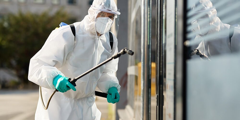 مكافحة حشرات في ابوظبي