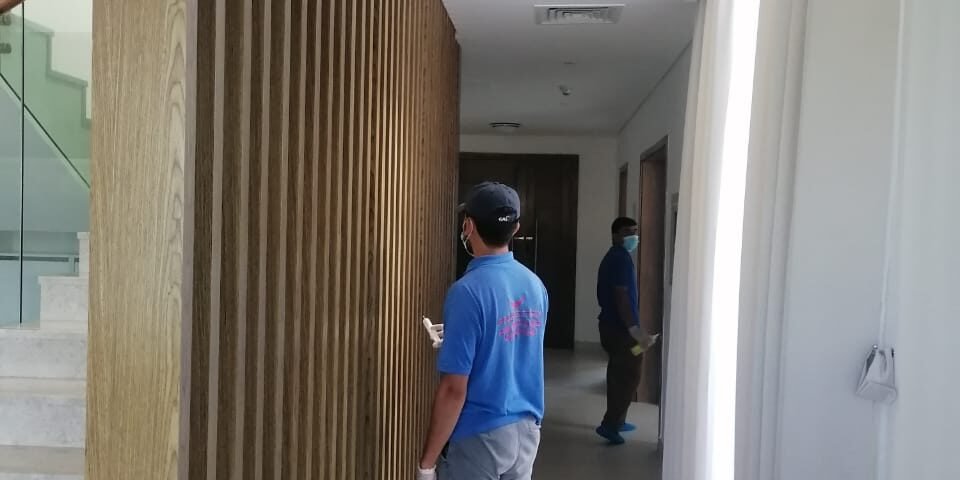 شركة بروتيكشن شركة رش حشرات.jpg