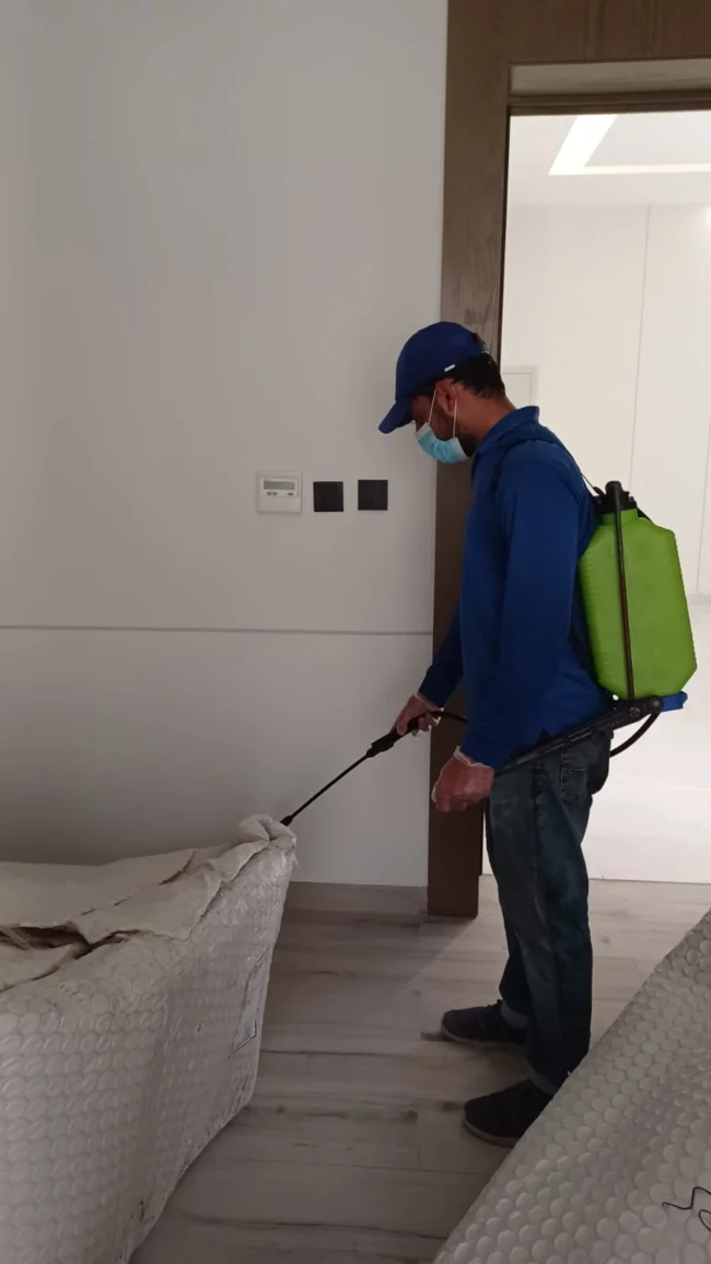 شركة بروتكشن لمكافحة الحشرات شركة بروتكشن لمكافحة الحشرات